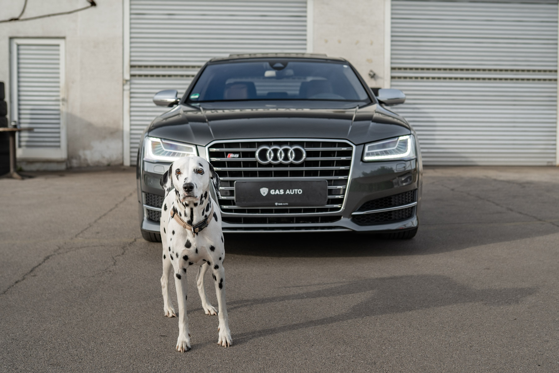 Audi-S8-ABT-052026-GAS-Auto-Uvoz-avtomobila-05